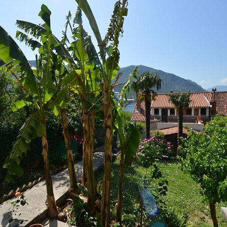 Apartments Popovic 2 Kotor Chambre photo