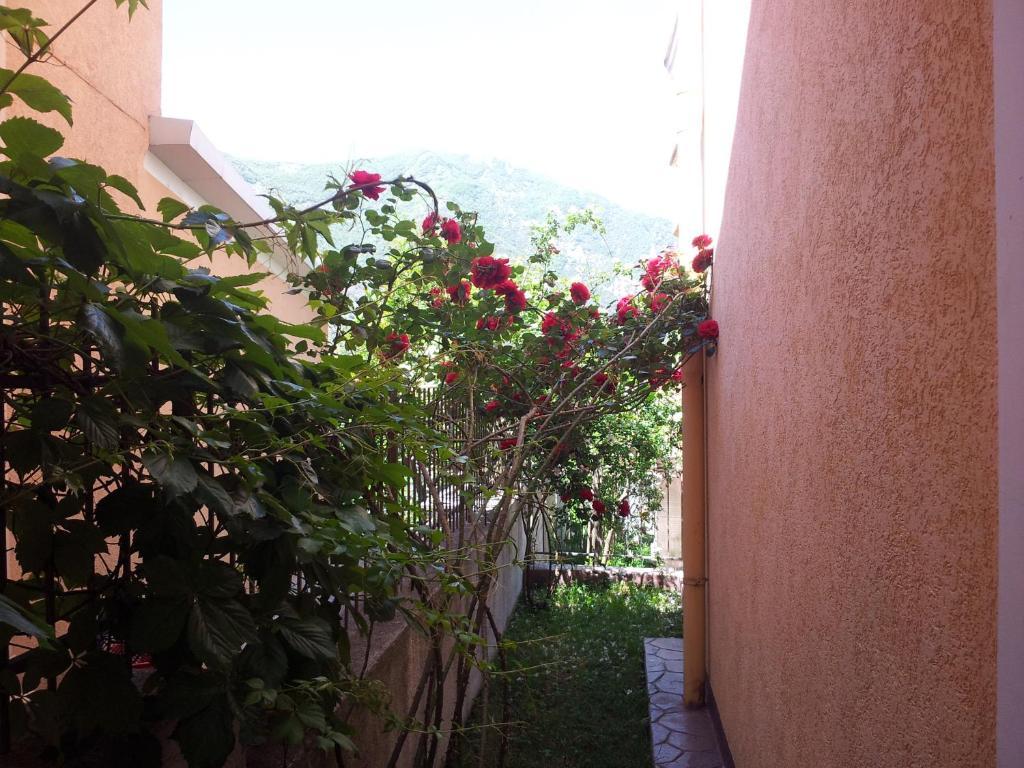 Apartments Popovic 2 Kotor Extérieur photo